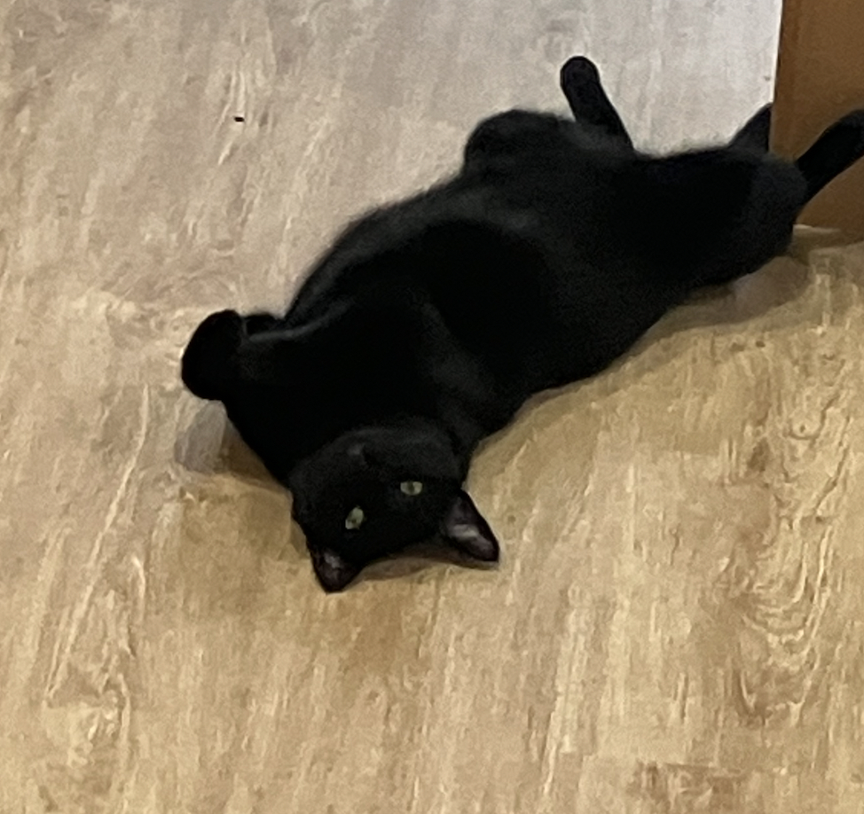 Moussa, trabajador de Senegal atendido por Easymova